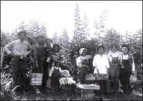 Raspberry Pickers at Hatzic Farm, c. 1935(Photo courtesy: Japanese Canadian National Museum. Photograph number: JCNM 97/189.1.224, Steve (Yoshio) Shikaze fond)