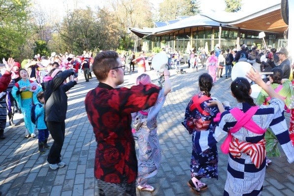 Sakura Days Japan Fair Ondo dance song parade