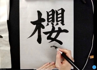 Calligraphy Demonstration