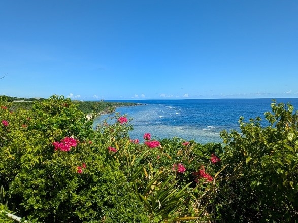 沖永良部島（奄美群島）