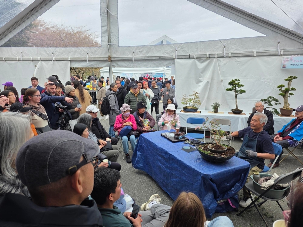 Bonsai demonstration